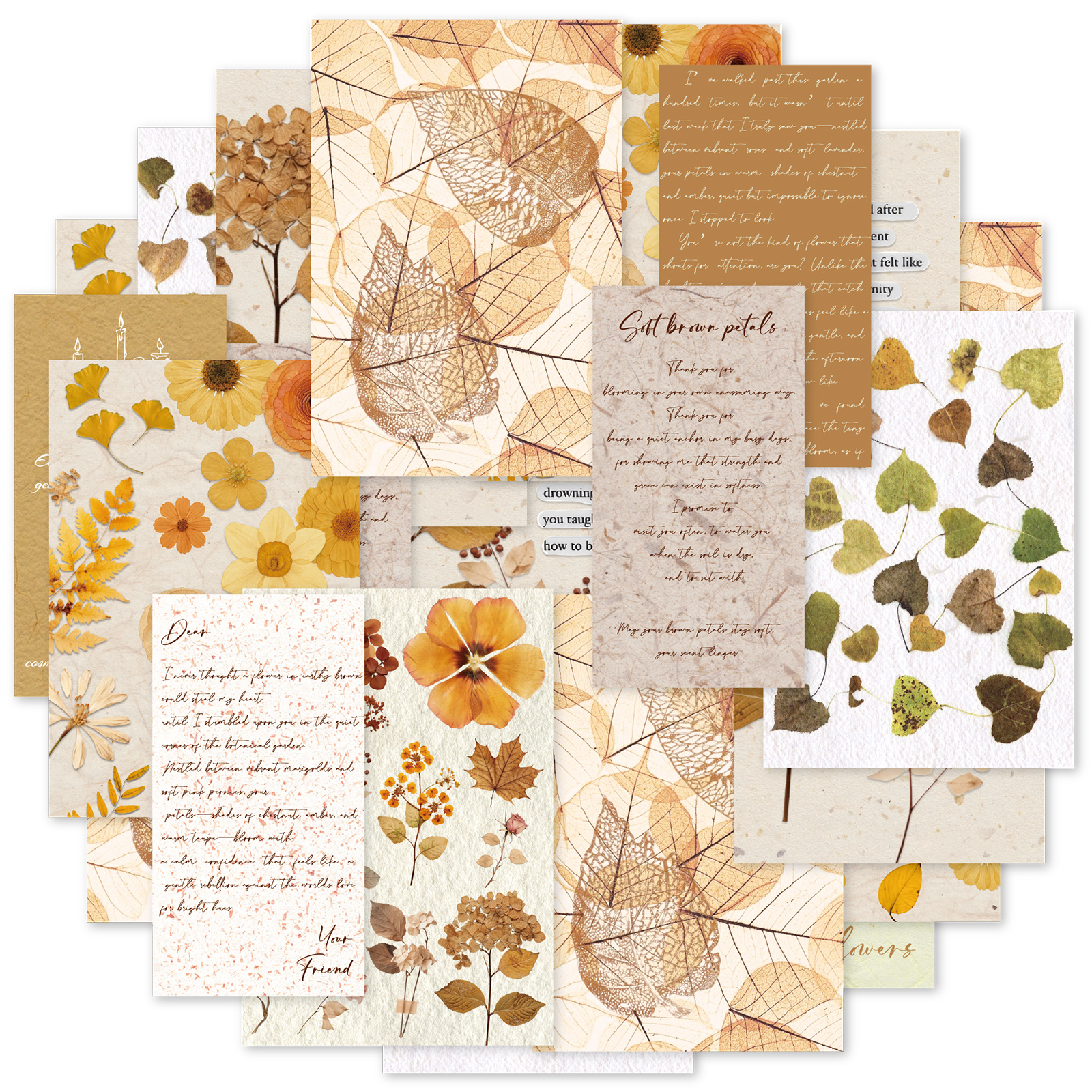 Etori Life 20Pcs Vintage Autum - مراجعة The Korean Lifestyle Book وسعره
