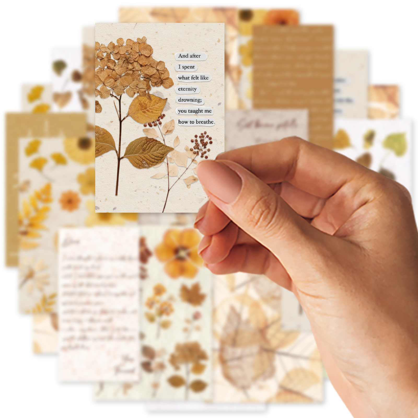 Etori Life 20Pcs Vintage Autum - مراجعة The Korean Lifestyle Book وسعره